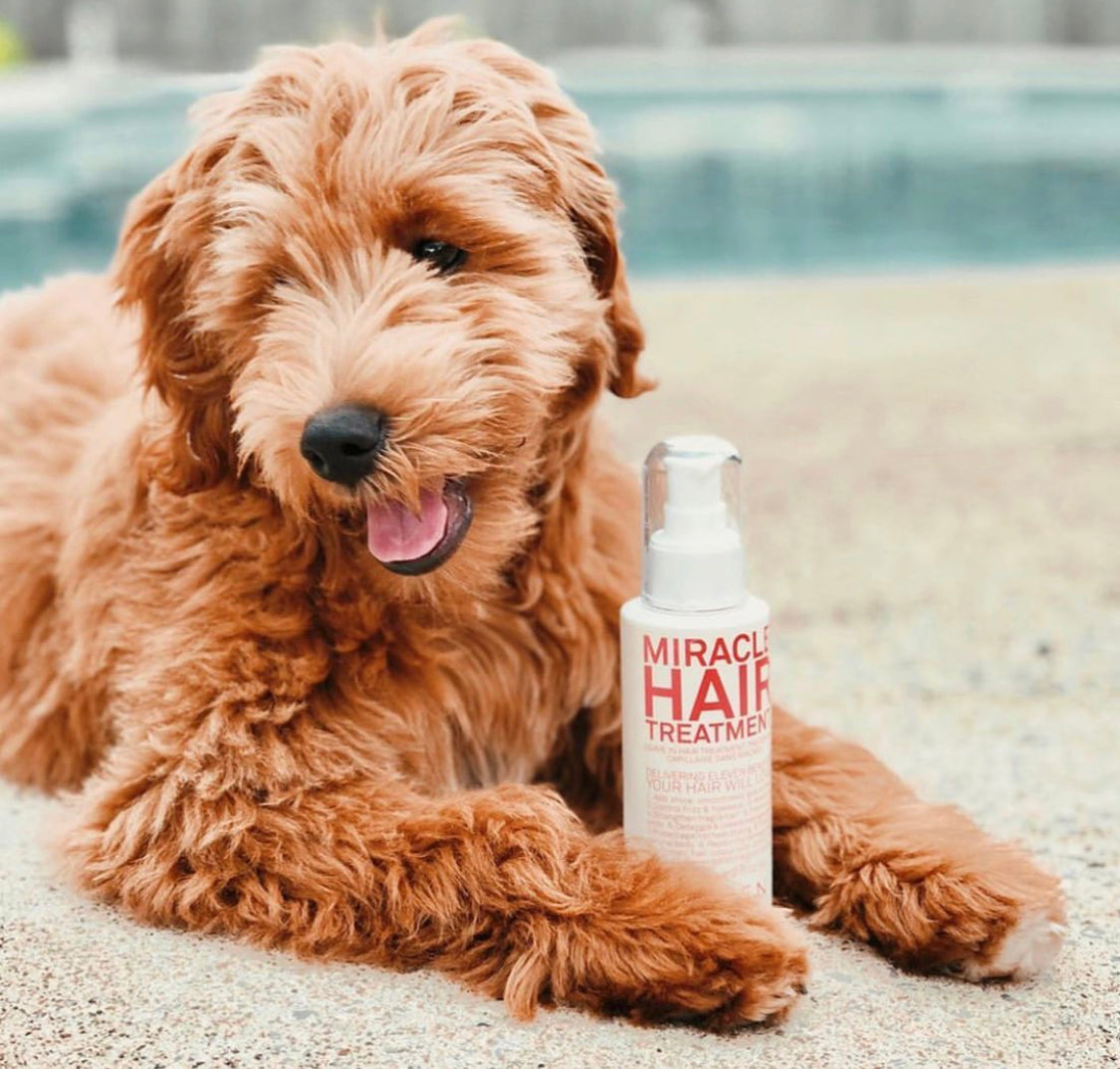 ELEVEN AUSTRALIA - MIRACLE HAIR TREATMENT 125ml